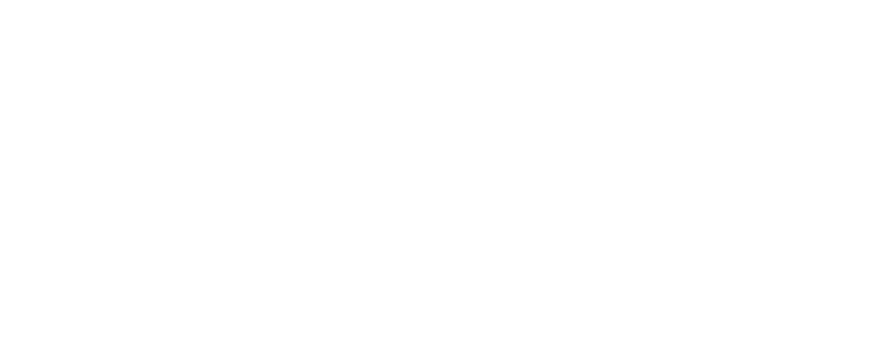 Olly Timing Logo